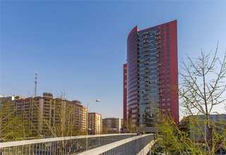 森林屋灰泥批发