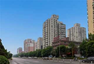 宁波正规无血清细胞冻存液厂家批发价